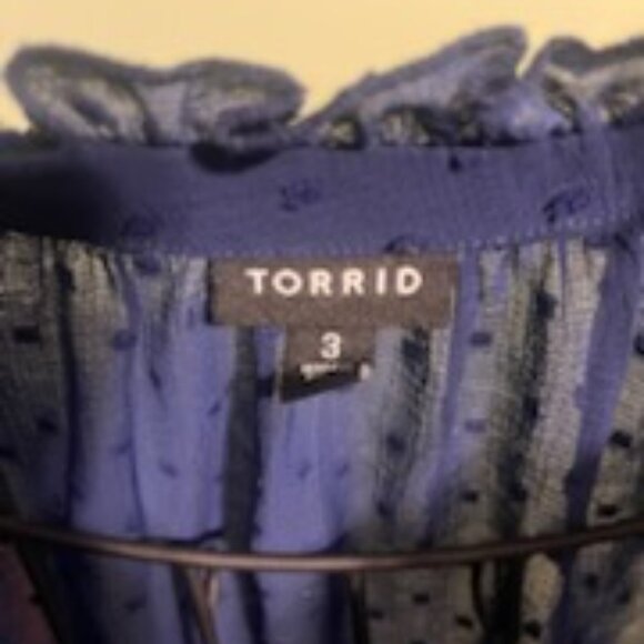Torrid Sheer Blouse (Blue) - Picture 3 of 3